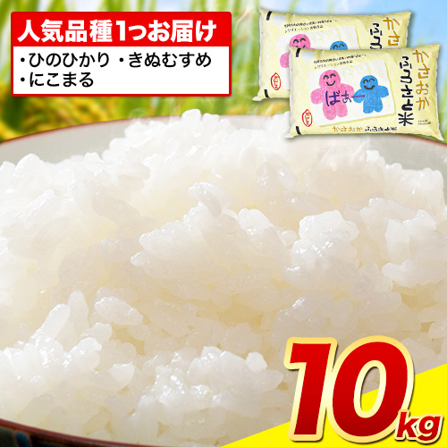 【発送時期が選べる】【先行予約】米 令和7年産 10kg ふるさと米 備中笠岡 人気品種をお届け！ 国産 ヒノヒカリ にこまる きぬむすめ お米 ブランド米 ふっくら ハリ おにぎり 弁当 発送時期が選べる 単一原料米 検査済み お取り寄せ 送料無料 岡山県産