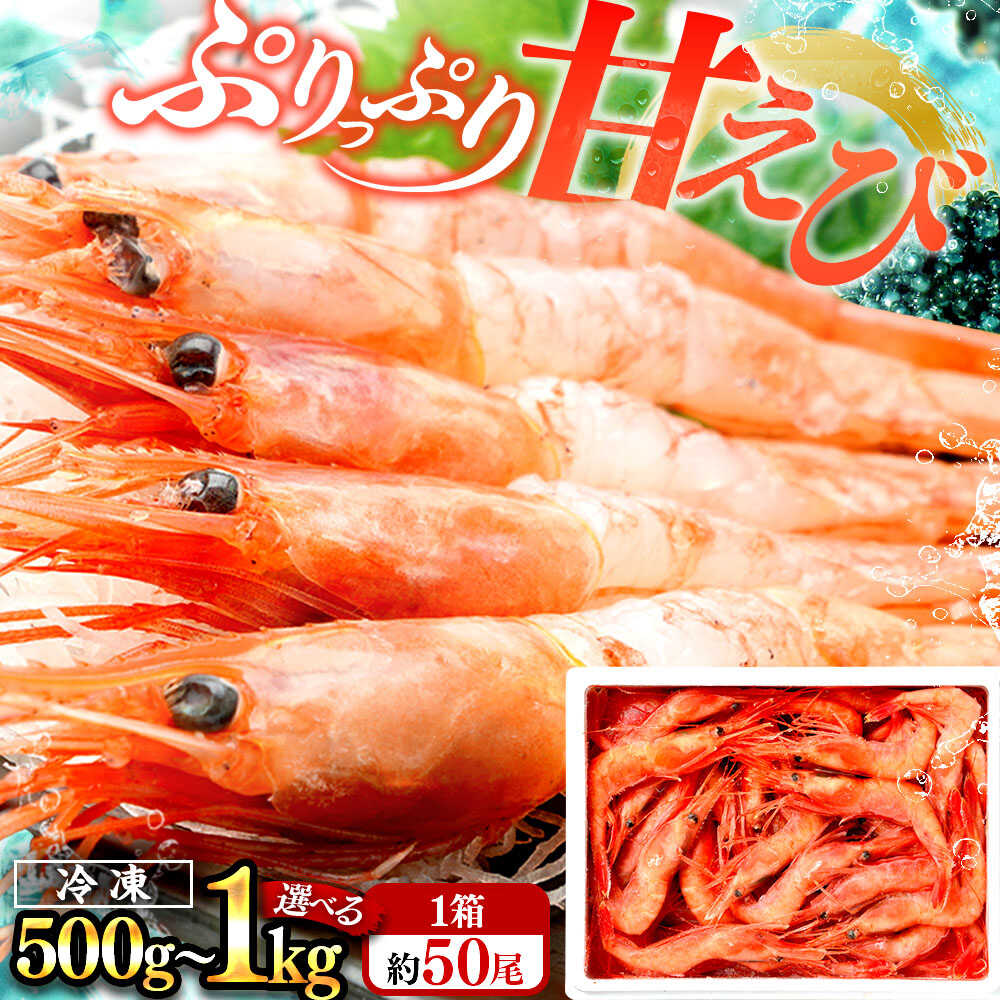 【ふるさと納税】【年内配送】【選べる容量】日本海 甘えび 500g (約50尾)×1箱 or 500g (約50尾)×2箱 / 刺身OK 冷凍 あまえび 船凍 ホッコクアカエビ アマエビ 甘エビ 福井県 小浜市 / 小浜海産物 【配送不可地域：北海道・沖縄・離島】[BFAA082]