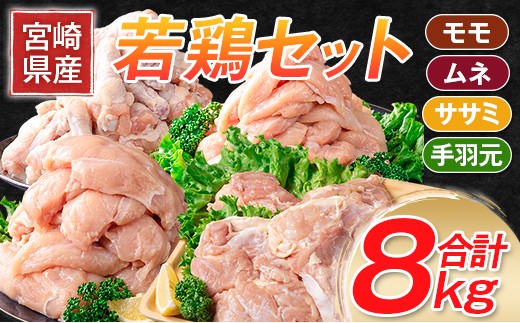 
                  ［宮崎県産若鶏］モモ・ムネ・手羽元・ササミ 合計8kg ※90日以内に出荷【B251-2604】
                