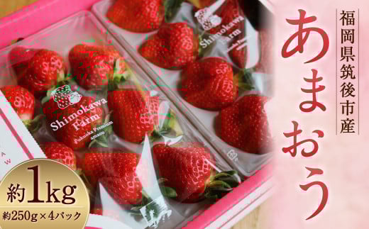特別栽培 の 濃厚 完熟 あまおう 約1kg 約250g×4パック 【2026年1月上旬～3月下旬まで発送予定】 いちご 苺 果物 フルーツ