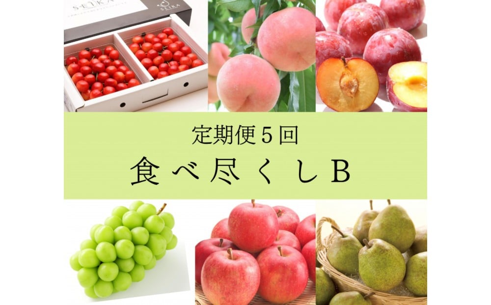 
            2026年度発送【定期便5回】　食べ尽くしB
          