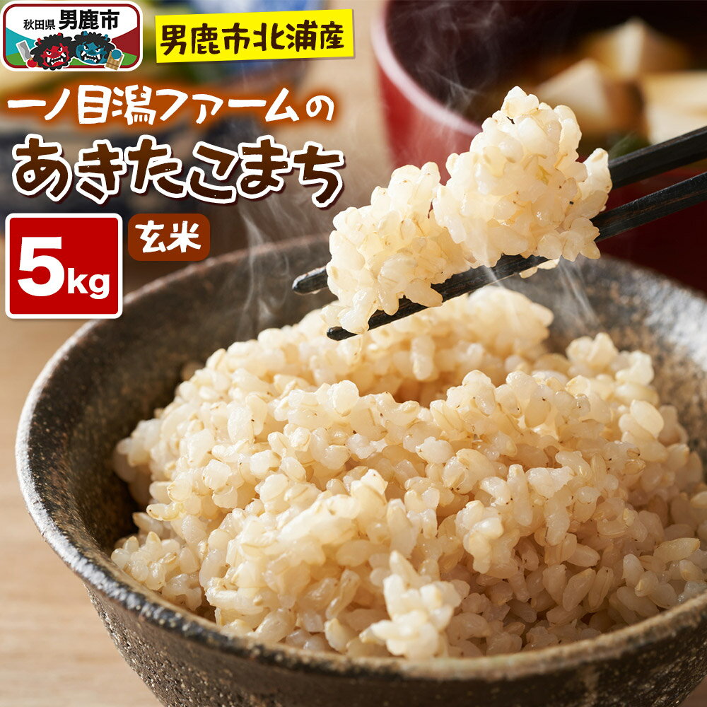 【ふるさと納税】＜令和7年産＞「秋田県男鹿市北浦産」あきたこまち（玄米）5kg