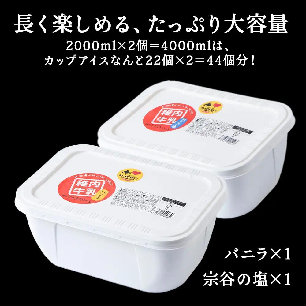 【業務用】稚内牛乳アイスクリーム2000mlバニラ×宗谷の塩2個セット【配送不可地域：離島・沖縄県】