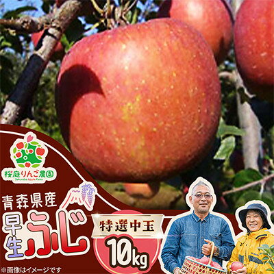 【ふるさと納税】早生ふじ特選中玉10kg【1789806】