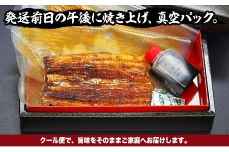 国産炭火焼うなぎ 蒲焼1尾（大串）国産 鰻 1人前 たれ付 山椒付 約80g×2 小分け