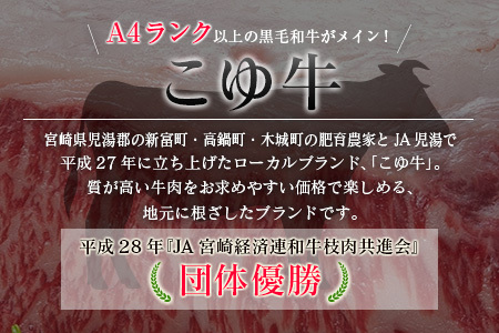 【年末年始限定】 フルーツ 黒毛和牛 定期便 12か月 果物 肉 G59