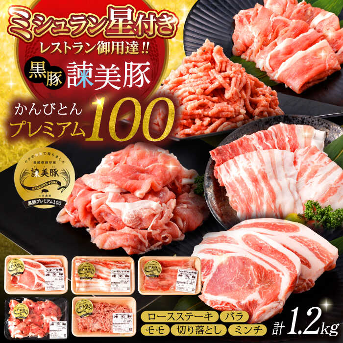 【ふるさと納税】＜特Aのブランド米で育てた＞黒豚諫美豚プレミアム100 5種セット 計1.2kg（ ロースステーキ バラ モモ 切り落とし ひき肉 ） / 豚肉 ロース ステーキ 挽き肉 ミンチ / 諫早市 / 株式会社土井農場 [AHAD047]