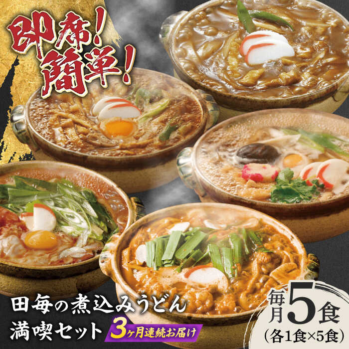 【ふるさと納税】【3回定期便】うどん 岐阜の味 田毎の煮込みうどん満喫セット 即席 カンタン 麺 うどん 味噌 カレー すまし ピリ辛 牛もつ 冷凍 定期便 5種類 詰め合わせ 食べ比べ フルセット 鍋不要 老舗の味 名店 サブスク ギフト 人気 岐阜市 / ラボレムス[ANFP014]