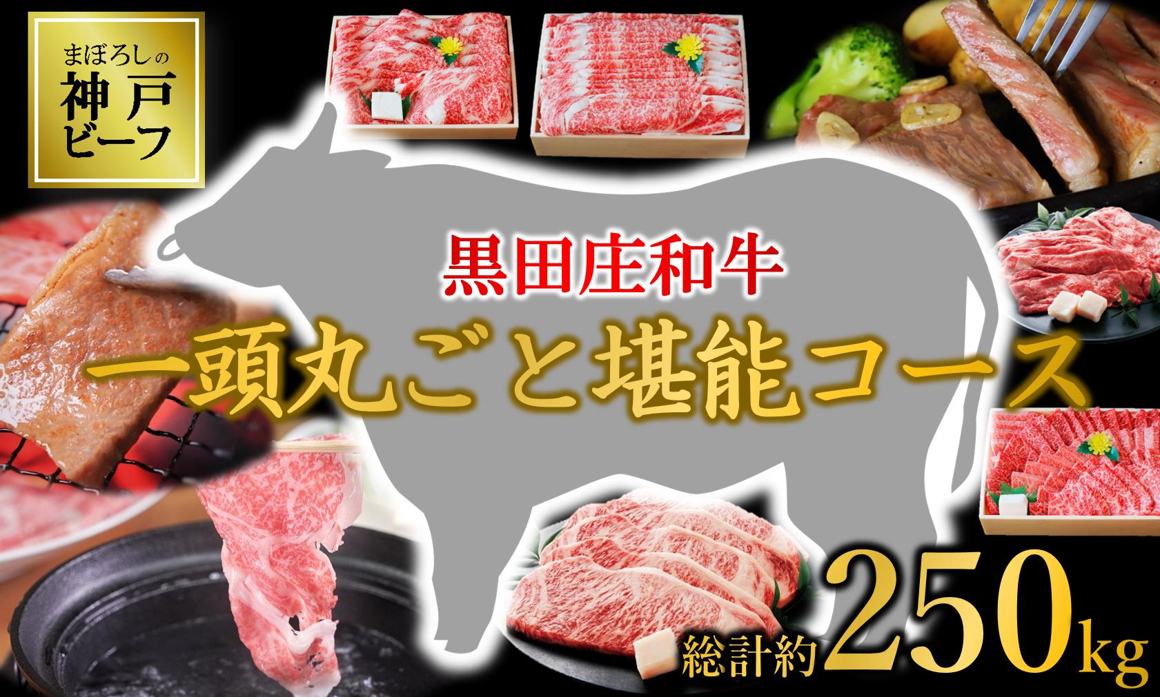 
            【まぼろしの神戸ビーフ】黒田庄和牛１頭まるごとお届けセット （10000-1）肉 niku にく オーダー 定期便 完全受注 個別対応 カスタム 黒田庄和牛 焼肉 すき焼き しゃぶしゃぶ ステーキ  丸ごと まるごと 1頭買い
          