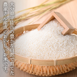 ＜先行予約受付中！2025年11月中旬以降順次発送予定＞＜令和7年産・新米＞ひのひかり 白米 (計20kg)お米 20キロ ヒノヒカリ 美白米 真空パック 真空包装【114900500】【祥田産業】