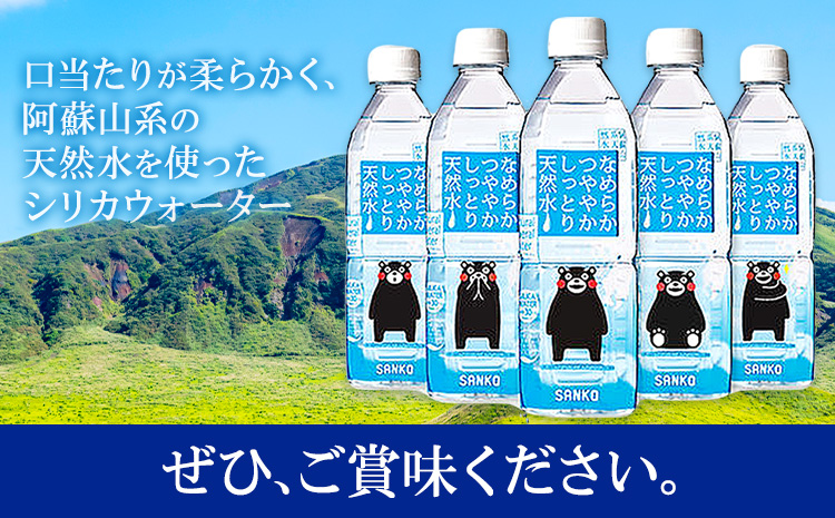 【6ヶ月定期便】なめらかつややかしっとり天然水 500ml 合計48本 24本×2ケース 6回 株式会社サンコー熊本営業所《お申し込みの翌月から出荷》天然水 軟水 鉱水 シリカ水 飲料水 ミネラルウォ