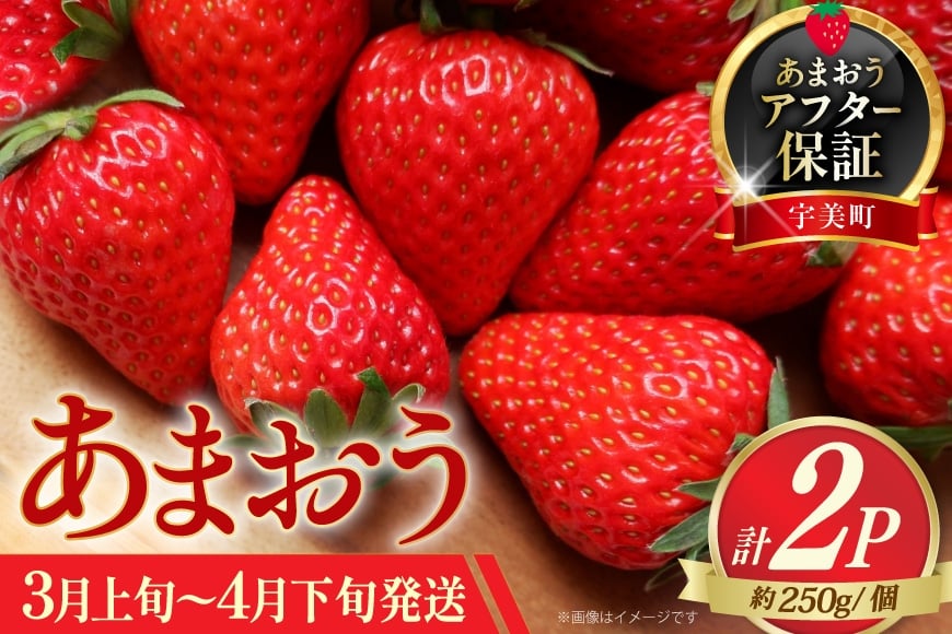
            あまおう いちご 約250g × 2P 3月上旬 4月下旬 [一千也フーズ 福岡県 宇美町 um40azp140006] 苺 イチゴ フルーツ ストロベリー 甘い あまい 季節限定 期間限定
          