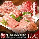 【ふるさと納税】牛 豚 鶏 定期便 7種 総量11.4kg ( 牛肉 切り落とし / カット済み 鶏もも / 豚肉 5種 食べ比べ ) 全6回 丸善味わい加工 毎月発送コース 肉 送料無料 国産 鶏肉もも 氷温熟成牛 氷温熟成豚 熟成肉 氷温熟成 作り方 ふるさと納税オリジナル 限定 肉の泉佐野