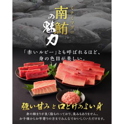 ふるさと納税 焼津市 天然本まぐろ 南まぐろ食べ比べセット 4回お届け(b100-071) |  | 01