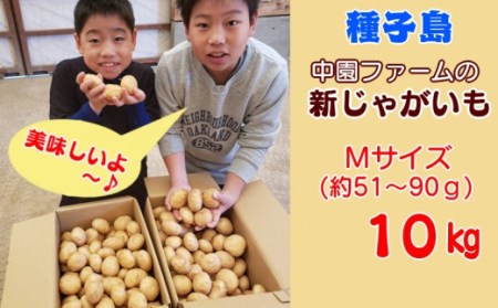 2026年 収穫 先行予約  種子島 中園ファーム 新 じゃがいも Mサイズ 10kg　NFN398【350pt】