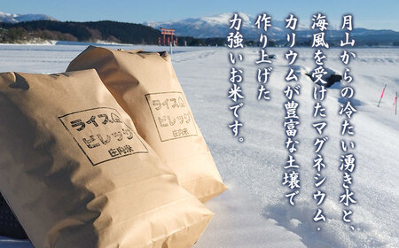 令和7年産 米どころ庄内産 ライスビレッジの雪若丸 玄米10kg K-7117