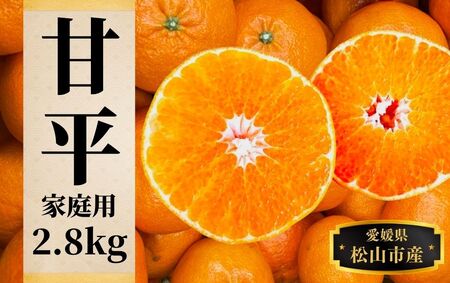 【甘平】約2.8ｋｇ（ご家庭用）＜2月頃発送 ＞ みかん ブランド 柑橘 フルーツ 果物 愛媛 松山【PT037_x】