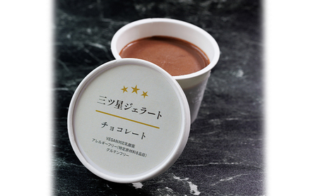 世界中の人たちが食べられる！VEGAN対応乳酸菌入り「三ツ星ジェラート」王道のバニラチョコセット（バニラ×3、チョコ×3）ジェラート セット アイス スイーツ 豊島区 東京