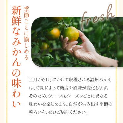 【宗方印】【数量限定】温州みかん 約5kg(家庭用)【K003650K5】【1676984】