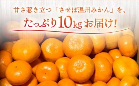 させぼ温州みかん 10kg / 柑橘 フルーツ 温州ミカン かんきつ【おだ農園】 [OAG007]