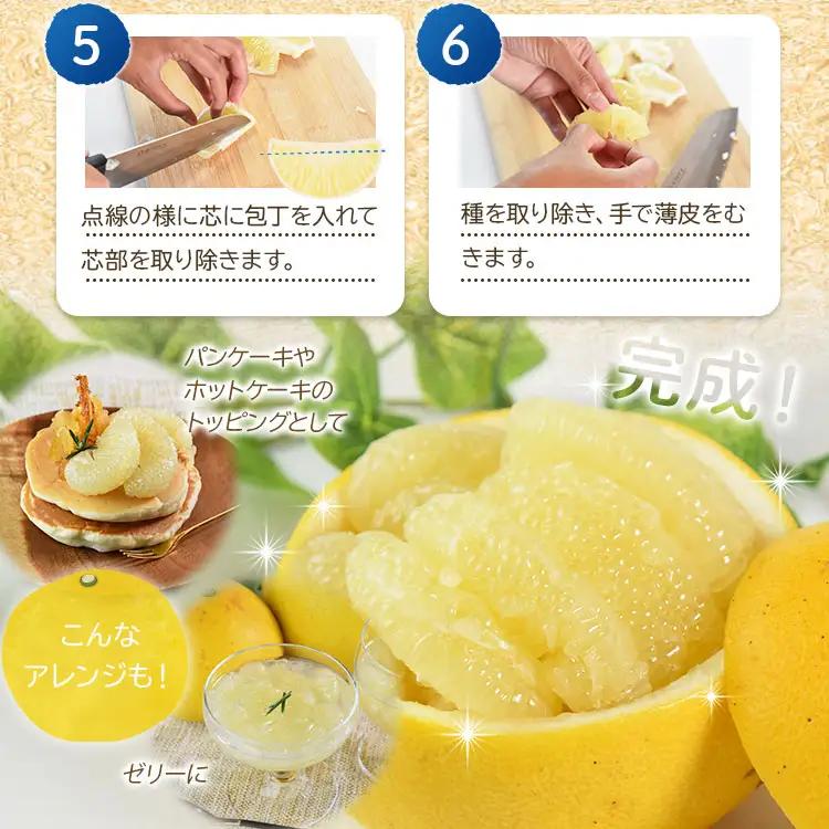 土佐文旦10kg (M～Lサイズ) 文旦 ms-0097
