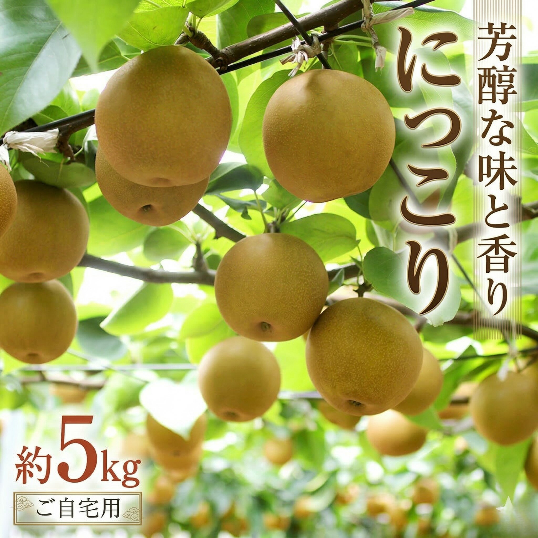 【ふるさと納税】【 ランキング 1位 獲得!! 】 芳醇な味と香り 『 にっこり 』 5kg ( 自家用 ) 2026年産 先行予約 フルーツ 果物 国産 日本産 梨 ナシ なし 和梨