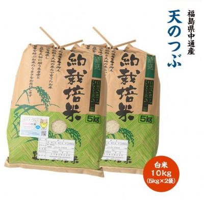 ふるさと納税 須賀川市 令和7年産須賀川市産天のつぶ　精米10kg(5kg×2袋)