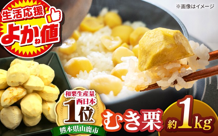 
                  ＼生活応援よか値キャンペーン／ むき栗 約1kg（約250g×4pc） 【すみれファーム】 栗 くり むきぐり 熊本 熊本県産 山鹿 九州産 国産 和栗 マロン  栗ご飯 栗きんとん モンブラン 甘露煮 渋皮煮 お取り寄せ [ZEP060-CP]
                