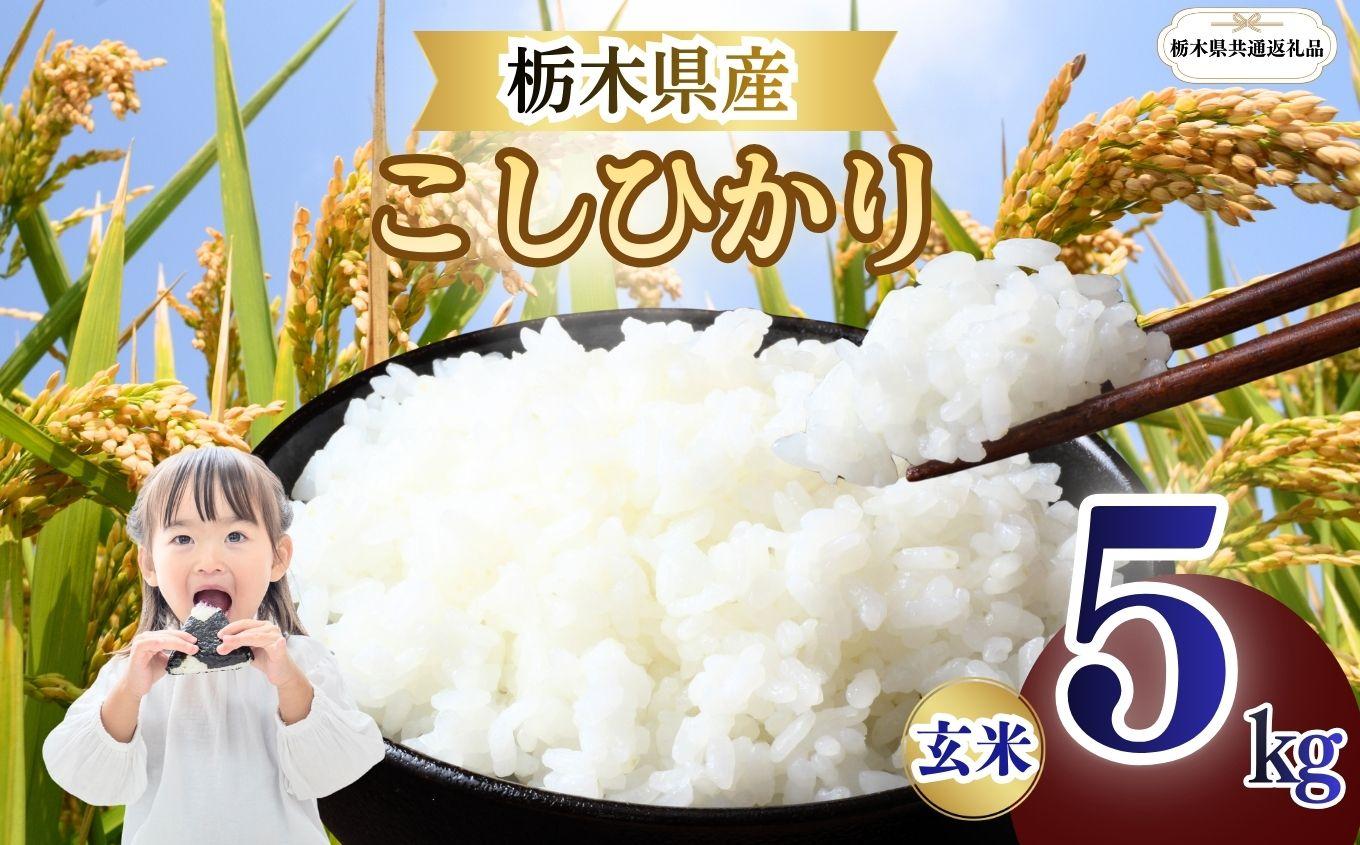 栃木県産 こしひかり 玄米 5kg 2026年 先行予約 | 栃木県 矢板市