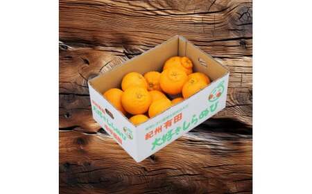 和歌山 有田 広川 不知火 しらぬい デコポン 果物 くだもの ギフト / 2月中旬発送【有田不知火】産地直送　大好き不知火３kgご家庭用サイズ混合※2024年2月中旬より順次発送予定 ※着日指定不可