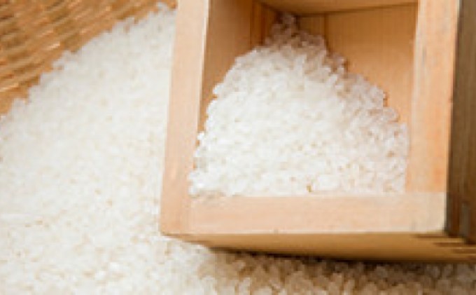 米 10kg 令和5年 ヒノヒカリ 5kg×2 白米 こめ