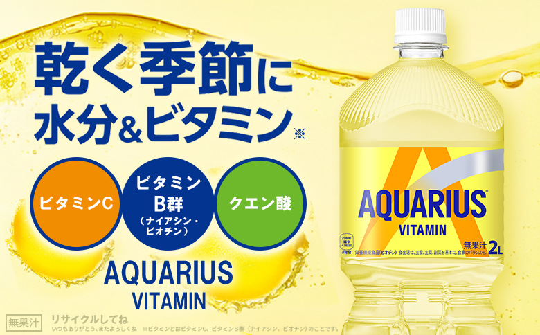 【定期便：全5回】アクエリアス 1日分のマルチビタミン　2LPET×6本【380089】_イメージ2