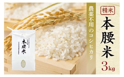 
                  令和7年産 本腰米3kg 精米 千葉県産コシヒカリ 農薬不使用 【 ふるさと納税 お米 3kg 千葉県産 大網白里市 コシヒカリ 農薬不使用 米 精米 こめ 送料無料 】F001
                