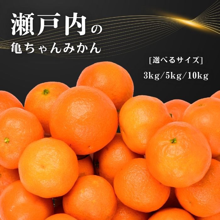 【ふるさと納税】11〜2月発送 亀ちゃんみかん 3kg/5kg/10kg 選べるサイズ 広島 大崎上島 瀬戸内 離島 国産 濃厚 柑橘 果物 フルーツ みかん ギフト 送料無料 産地直送 亀田農園
