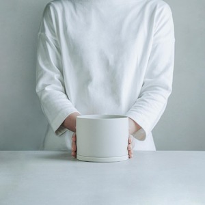 【観葉植物】MOLLIS 宇宙の木 KINTO インテリア 多肉植物 植物 室内 