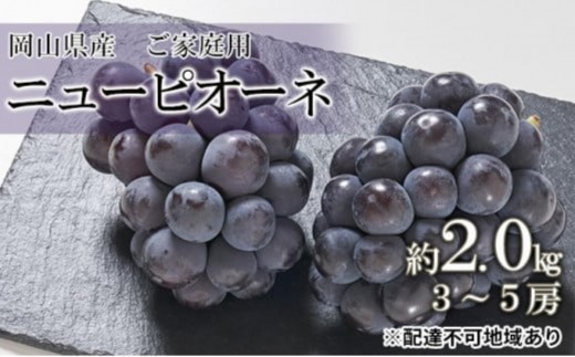 ぶどう 2027年  ご家庭用 ニューピオーネ 約2.0kg（3～5房）（クール便）