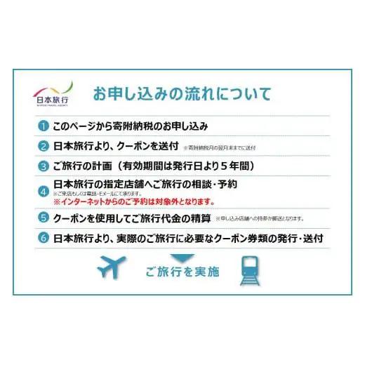 沖縄県石垣市　地域限定旅行クーポン90,000円分【 日本旅行 トラベルクーポン 納税チケット 旅行 宿泊券 ホテル 観光 旅行 旅行券 交通費 体験 宿泊 夏休み 冬休み 家族旅行 ひとり旅 カップ