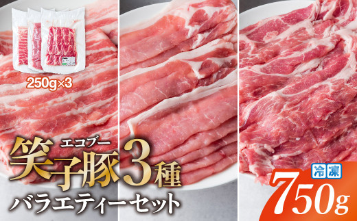 
【お試し】豚肉 小分け 真空パック 冷凍 スライス肉 3種 バラエティーセット 750g (250g×3袋) 笑子豚 バラ ロース 肩ロース 高級 岩手県 金ケ崎町 令和6年1月以降順次発送
