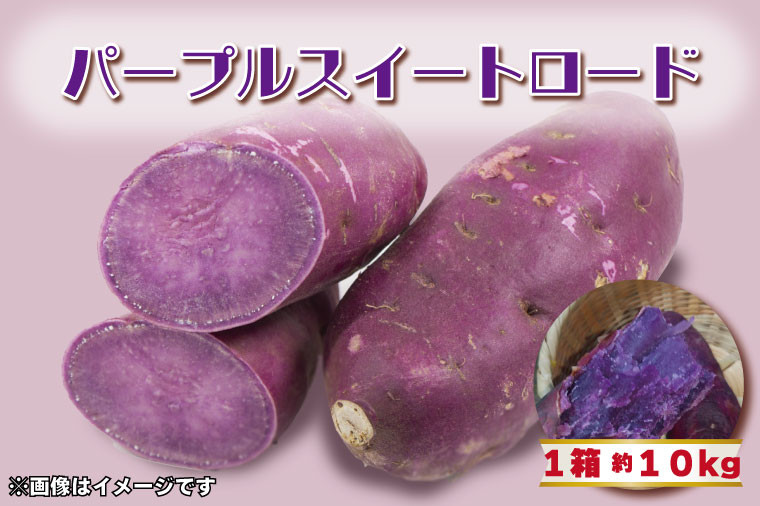 
                  【2026年11月より順次発送】2026年度産 パープルスイートロード 約10kg｜さつまいも 芋 お芋 パープルスイートロード 渋谷農園 先行予約 茨城県 行方市(BZ-8)
                