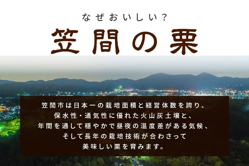 【2026年先行予約】 熟成 生栗 栗 2kg 3L 以上 特大 数量限定 国産 和栗 くり クリ スイーツ 果物 フルーツ 栗きんとん モンブラン 栗ご飯 栗ごはん 秋 旬 低温熟成 ギフト プレゼ