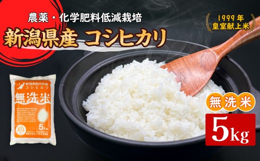 16-M051新潟県胎内市産コシヒカリ【無洗米】5kg