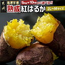 【お届け月が選べる】島津甘藷 熟成紅はるか 10kg(2L〜2S) - 幻のサツマイモ/幻の品種『紅はるか』 10キロ(2Lサイズ〜2Sサイズ) 10月/11月お届け