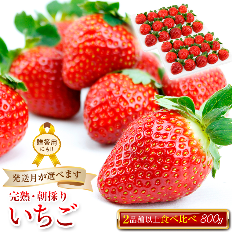 BT-184 いちごやす農園　完熟・朝採りいちご400g×2箱（2品種以上／冷蔵）【４月発送分】