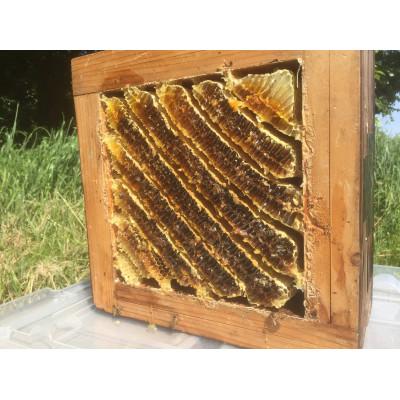 ふるさと納税 下野市 稀少な日本ミツバチの百花蜂蜜(200g×1瓶)非加熱、非圧力、無添加の国産100%オリジナル百花蜜。 |  | 01