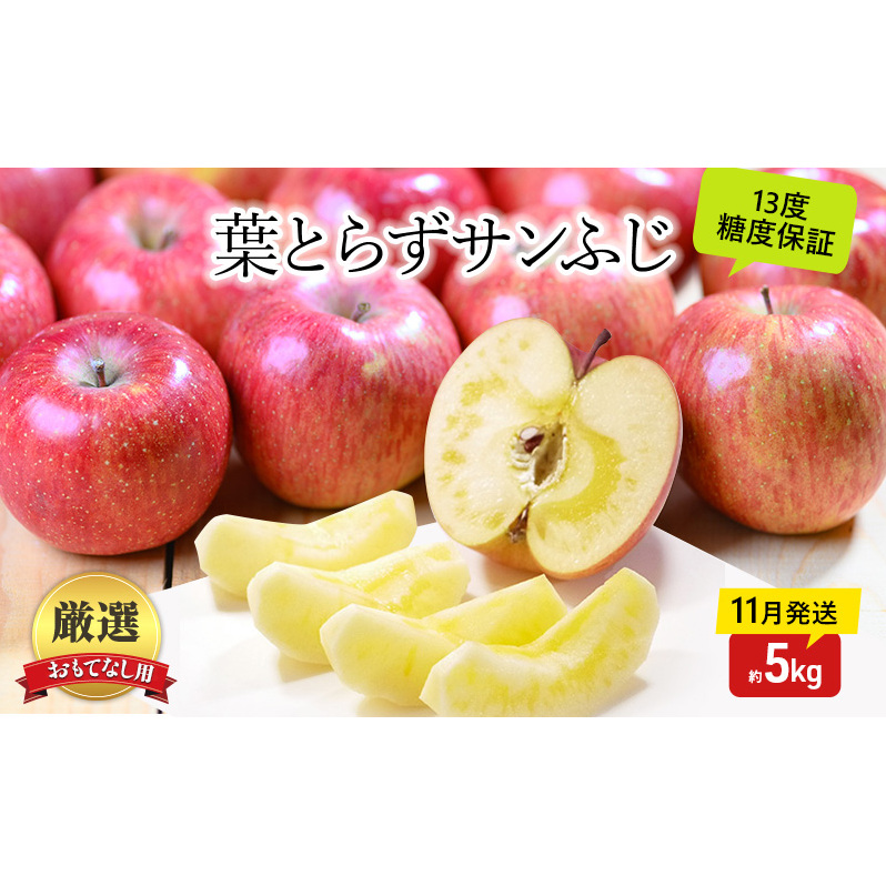 りんご【11月発送】蜜入り 糖度13度以上 おもてなし品  葉とらず サンふじ 約5kg【青森りんご 果物 フルーツ 産地直送 糖度測定 褐変 チェック 贈り物 年末 挨拶 お土産】