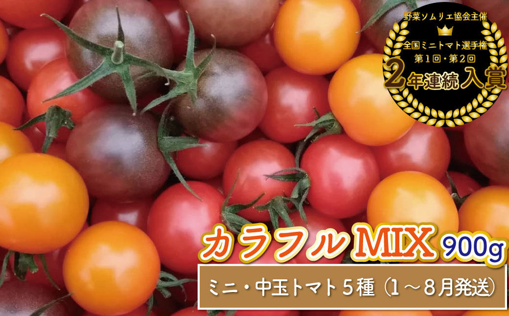 【1月～8月頃発送】＜900g＞カラフル トマト 5種MIX フルティカなど　ましまファーム ミニトマト フルーツトマト アイメックR ミックス フルティカ＆ミニ4種