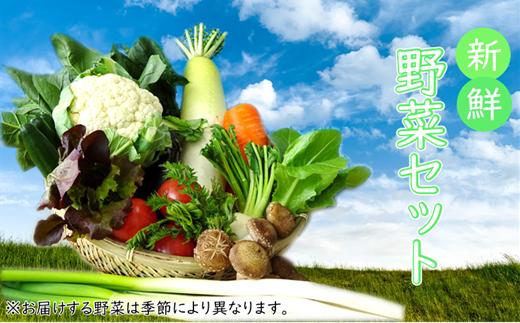 
【安全・安心・産直直送！】季節の野菜詰め合わせ（おまかせセット）
