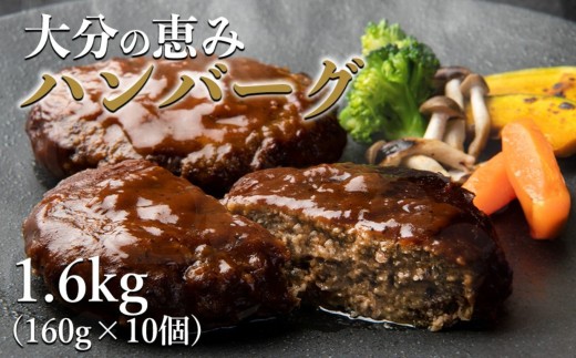 大分の恵みハンバーグ 1.6kg (160g×10個)  | 牛肉 豚肉 ハンバーグ 弁当 惣菜 冷凍 共通返礼品 中津市 豊後高田市 日出町 佐伯市 杵築市 竹田市 国東市 大分市 送料無料