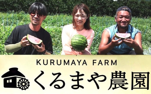 【フルーツ王国直送！】山形の小玉すいか（ひとりじめBONBON）１個　0033-2501