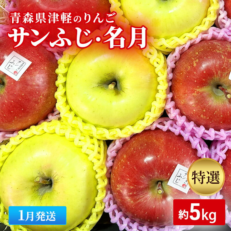 【ふるさと納税】【1月発送】【里いちみfarm】青森県津軽のりんご　特選「サンふじ・名月」約5kg 　お届け：2026年1月8日～2026年1月30日